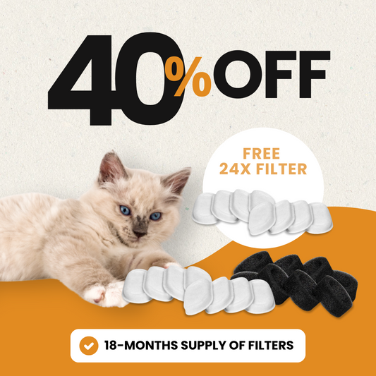 24x Filter Sets + 12x FREE