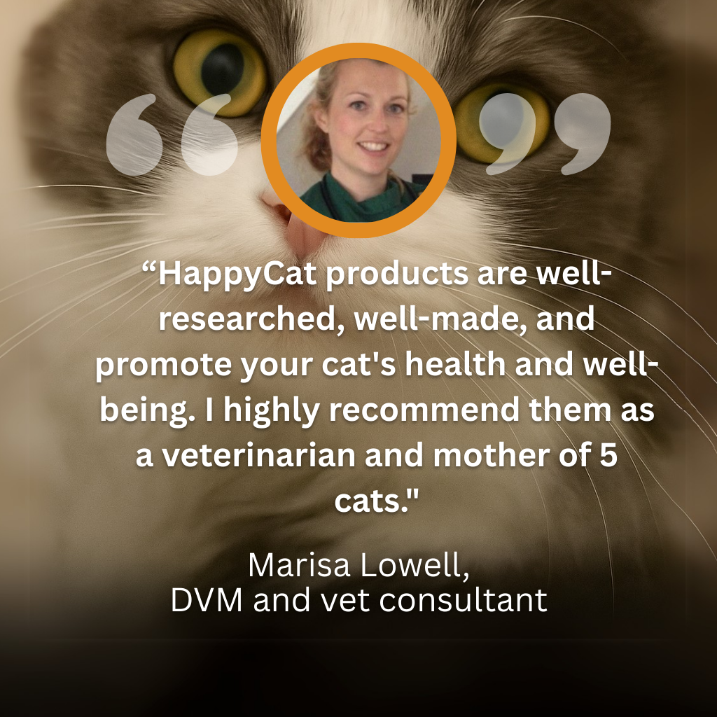 The HappyCat™ - Stainless Steel 3.2L/106oz Drinking Fountain