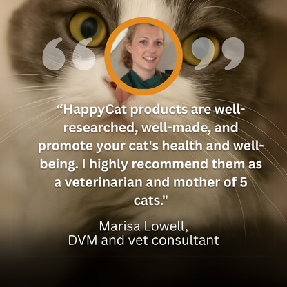 The HappyCat™ - Stainless Steel 3.2L/106oz Drinking Fountain