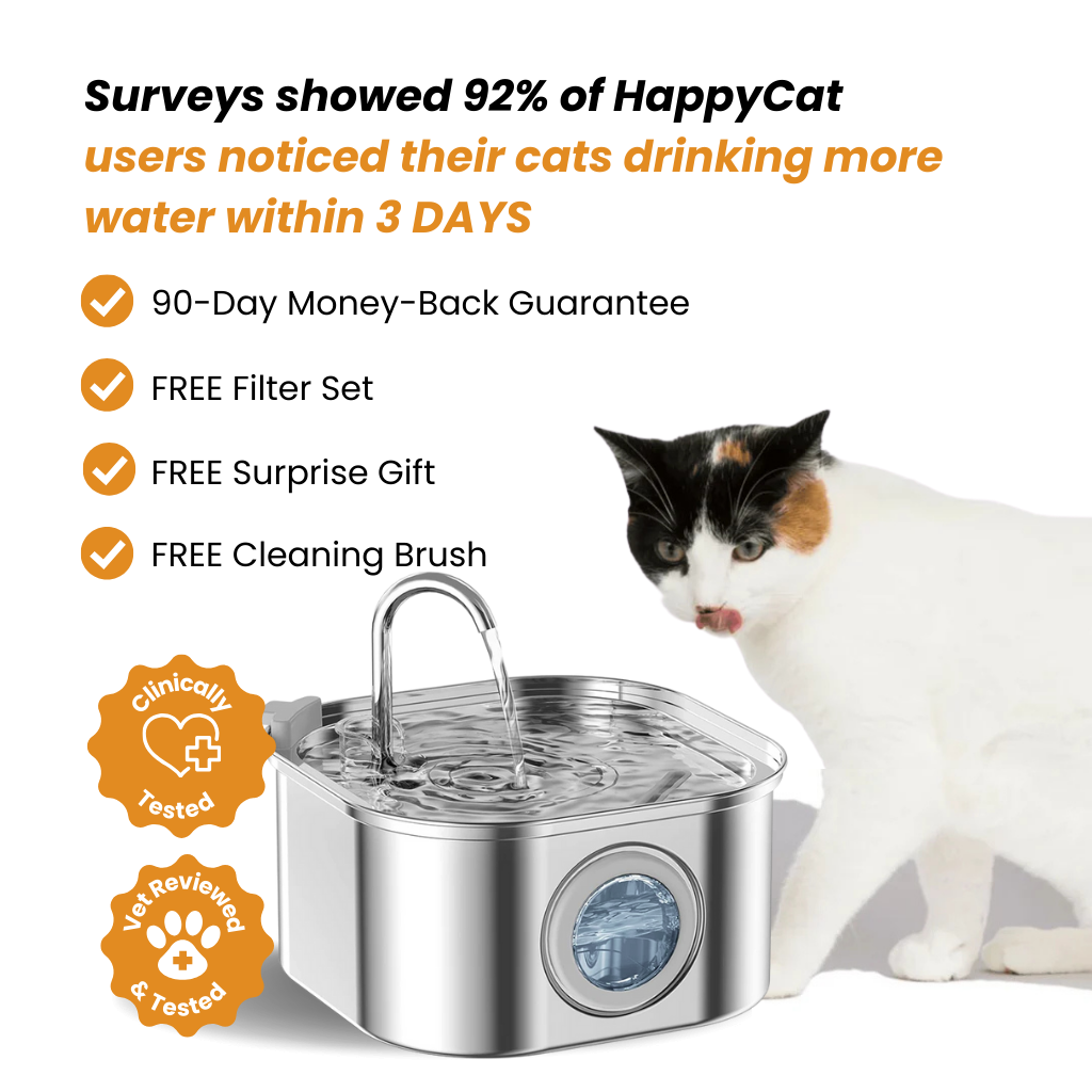 The HappyCat™ - Stainless Steel 3.2L/106oz Drinking Fountain
