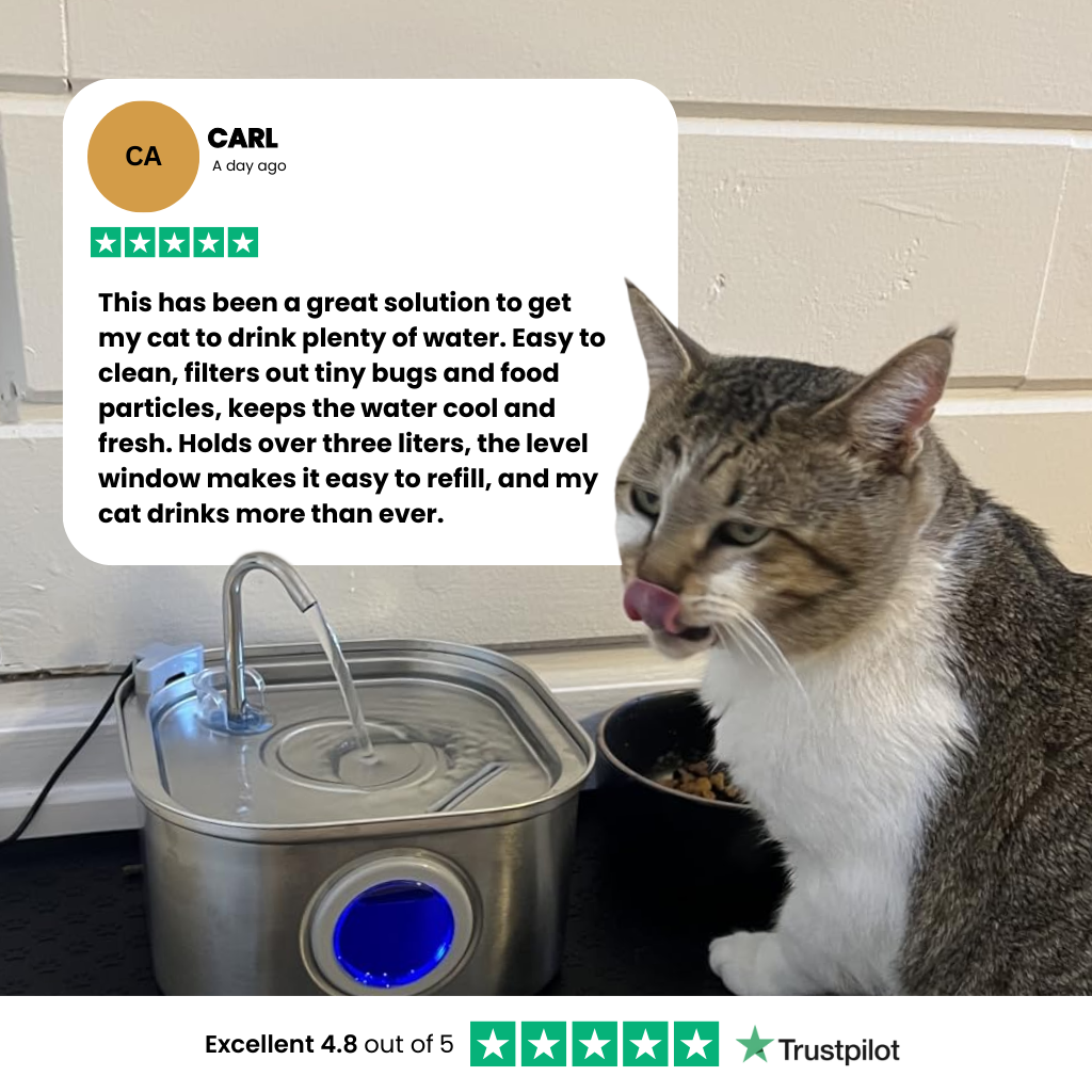 The HappyCat™ - Stainless Steel 3.2L/106oz Drinking Fountain